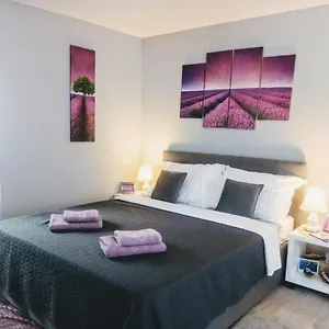  Apartment Elly